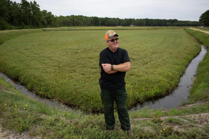 New Jersey man is first documented death from tick-related red meat allergy