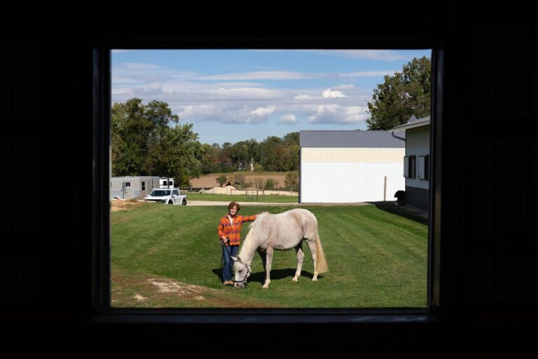 ‘Forage of the future’: Minnesota’s StableFeed makes horse- and eco-friendly hay
