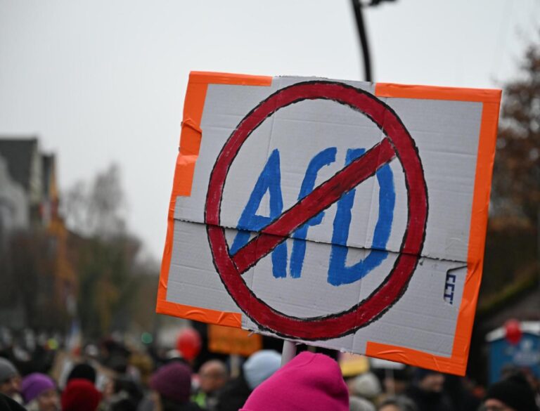 Miles se manifiestan mientras el partido de ultraderecha de Alemania crea nueva organización juvenil