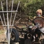 Janice Symiczek Death and Obituary: Janice Symiczek, 82, Killed in Holmen, Wisconsin Three-Vehicle Crash on US Highway 53