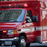 Los Angeles Woman Fatally Struck on the 405 Freeway Identified as Kinna Robin