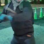 New Jersey man wearing wolf mask charged in marijuana shop burglary, police say