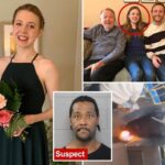 Routine Ride Turned Inferno: Chicago Commuter Set Ablaze in ‘L’ Train Horror