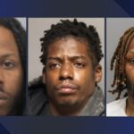 Tragedy on the Quiet Road: Three Killed in Late-Night Police Pursuit