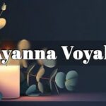 Two Connecticut Teens Killed in Deadly Late‑Night Crash on I‑95