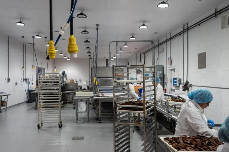 She Was Deported in Error. Her Child Was Left Behind.