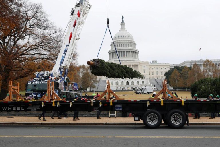 This week: Defense policy bill on the move as Capitol Christmas tree arrives