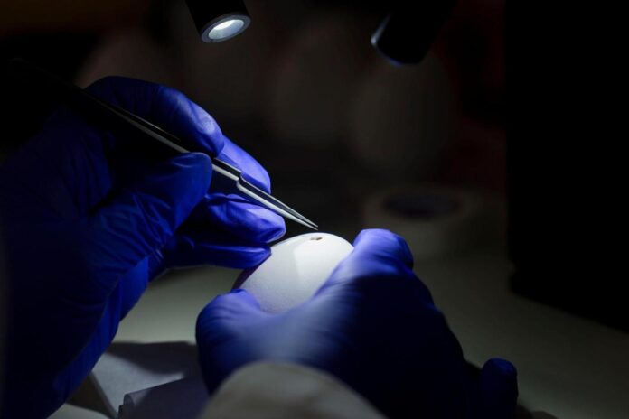 Nonprofit arm of de-extinction gurus Colossal Biosciences hits $100 million in funding