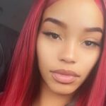 30‑Year-Old Warren Woman Dies in Late‑Night Crash With Semi — Sterling Heights in Mourning