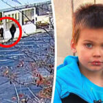 5-Year-Old Adrian Charges After Chasing Suspect Who Punched His Mom, Snatched Her Keys in Grove City