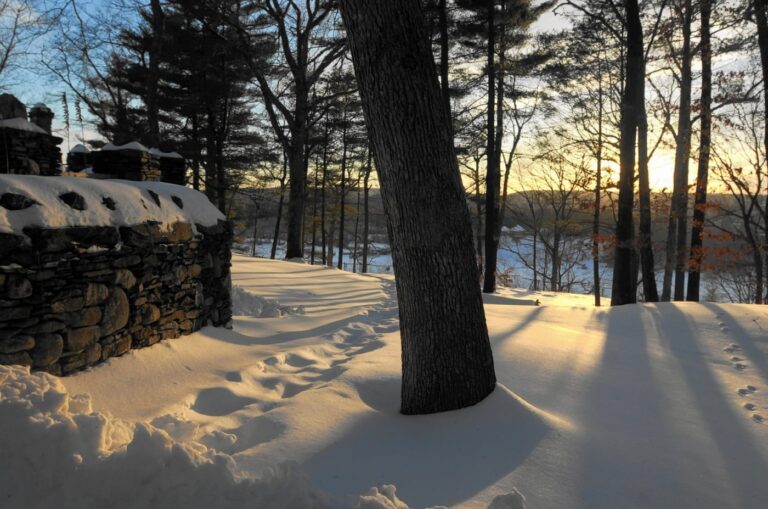 Kick off 2026 on a healthy note in CT with New Year’s Day guided hikes or walks. Here’s where to go