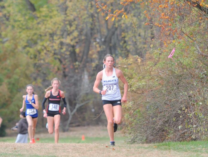 Five CT runners qualify for national cross country championships