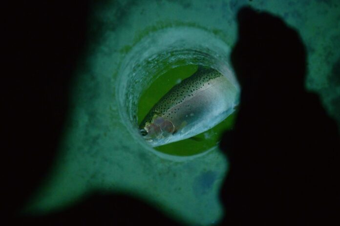 Colorado lake named among best places for ice fishing in US