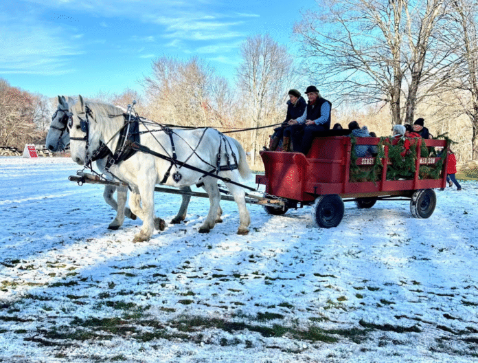 Holiday events are kicking off across Connecticut. Here’s a list of everything you need to know