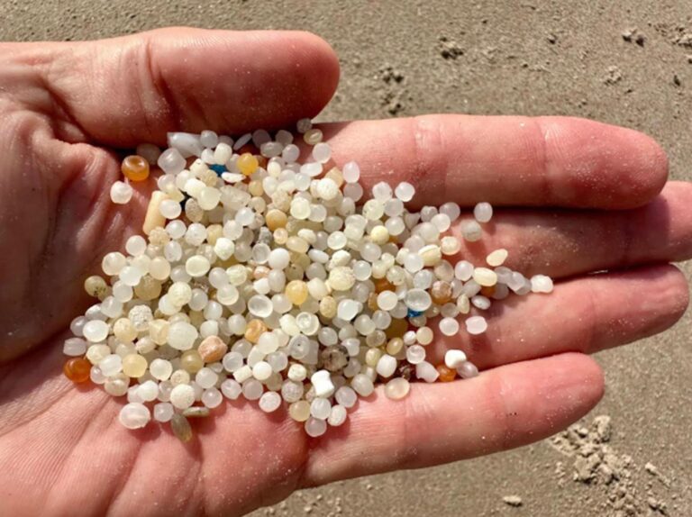 Plastic pellets known as ‘nurdles’ are polluting beaches and waterways