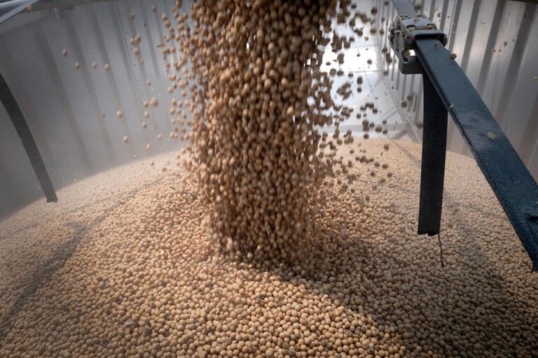 China’s soy purchases hit 12 million tons to meet US pledge
