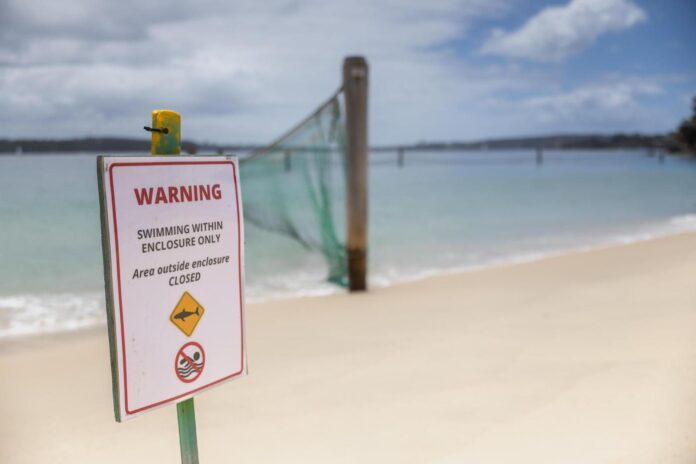Man and boy critical after 3 shark attacks off Sydney in just over 24 hours