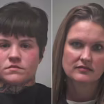 Disturbing claims that unlicensed women performed cat surgeries in private home