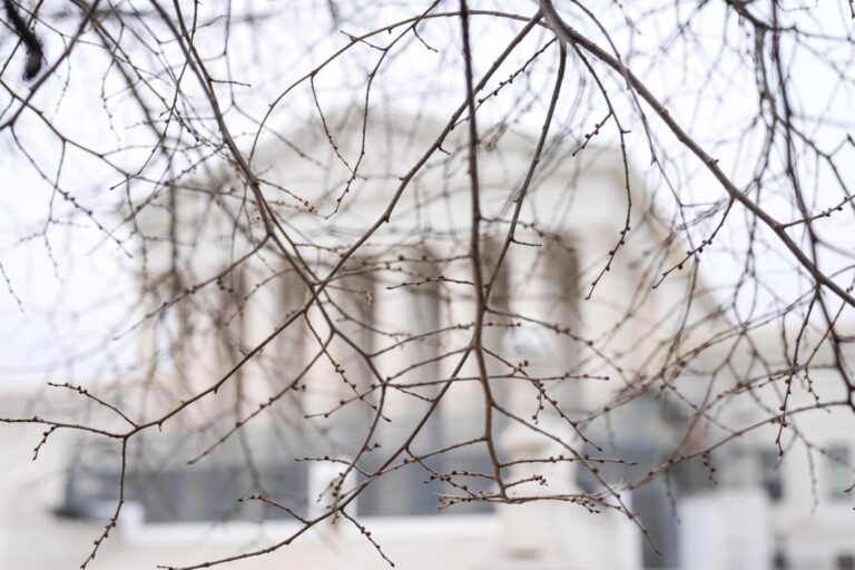 Congreso de EEUU debate posibles consecuencias para ICE y Noem tras asesinato de Renee Good