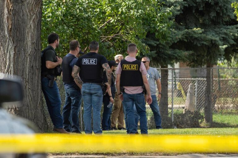 Driver shot in Minneapolis is at least the fifth person killed in US immigration crackdown