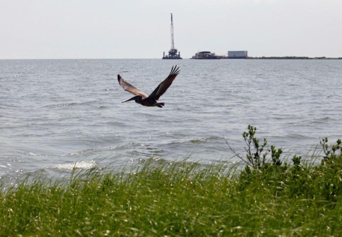Record $9.6 million fine for Third Coast after substantial oil spill in the Gulf of Mexico