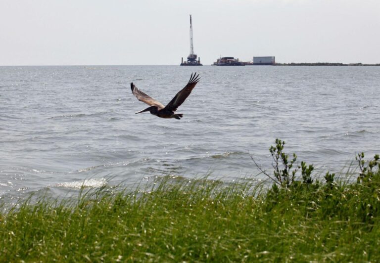 Record $9.6 million fine for Third Coast after substantial oil spill in the Gulf of Mexico