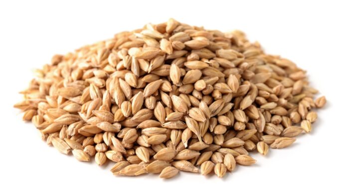 Recipes: These grain-based dishes are great for your diet and budget