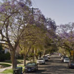 Ritzy LA neighborhood is being ‘overrun’ by sex workers, locals say