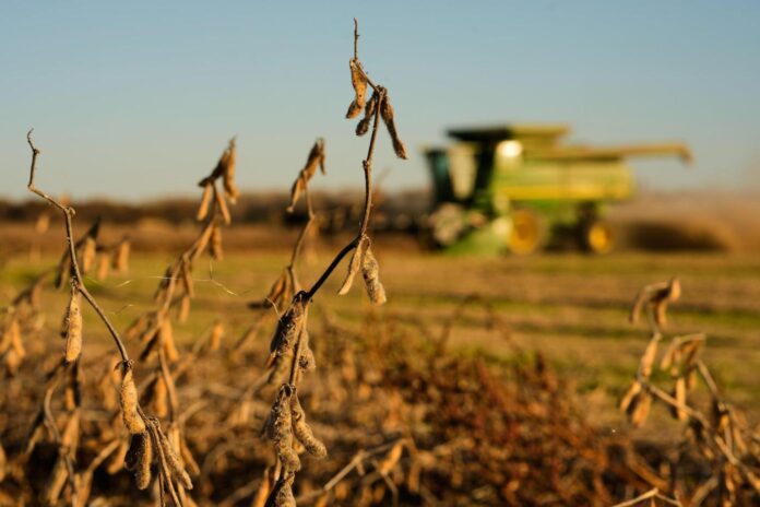China meets initial soybean purchase goal, but Trump’s shifting trade policy could disrupt deal
