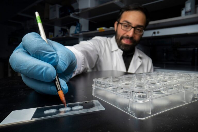 ‘Memory manipulation is inevitable’: How rewriting memory in the lab might one day heal humans