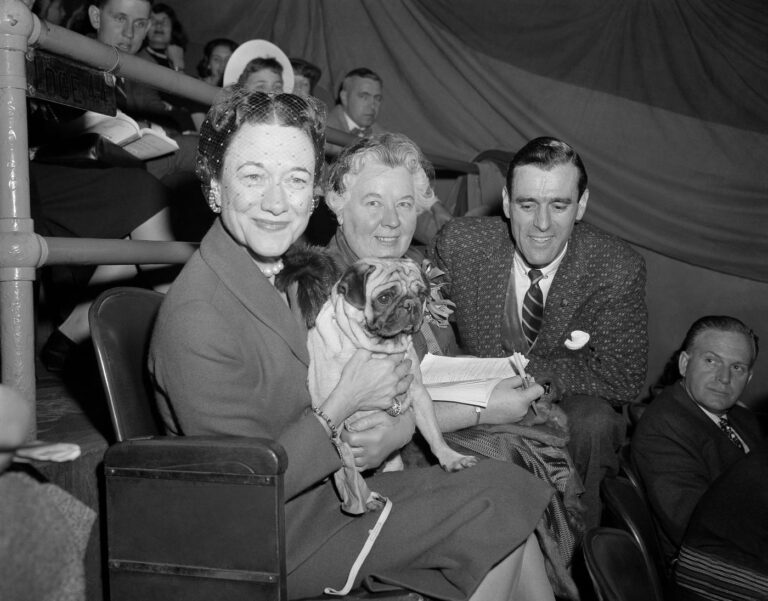 The Westminster dog show is turning 150. Here’s what has — and hasn’t — changed over time