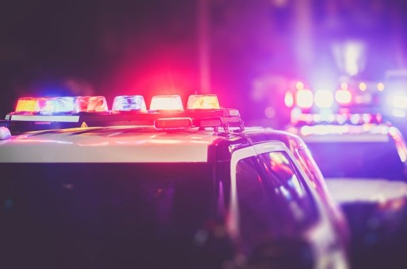 Two CT men charged with leaving dogs outside in sub-zero windchill. Pets taken by animal control.