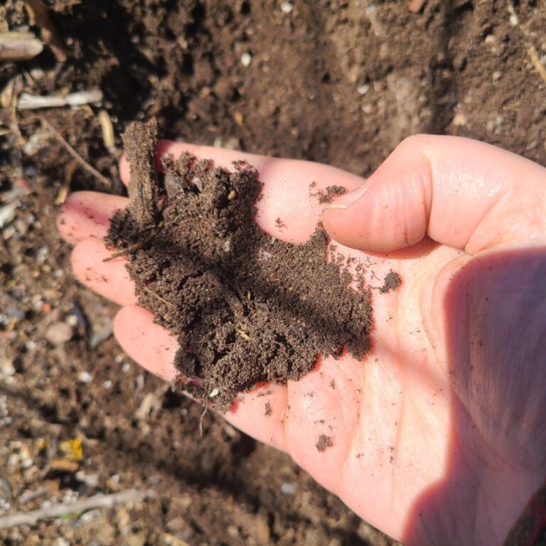 Five soil myths you need to know that cost CT home gardeners money