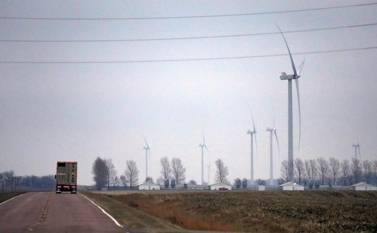 Minnesota farms face labor shortage as workers fear federal immigration action