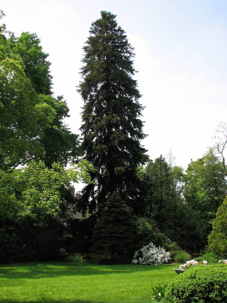 Readers speak: Acts of kindness mean we are looking out for each other