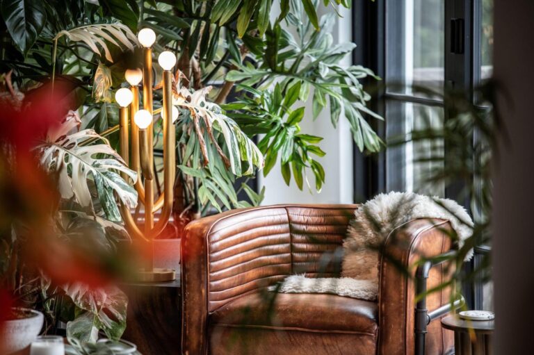 How to create a calming ‘nature nook’ with indoor plants. Advice from Hilton Carter