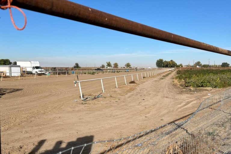 U.S. citizens and legal residents sue over aggressive immigration raid at Idaho horse racing track
