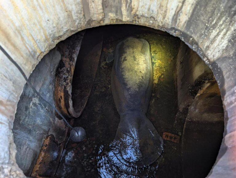 A 410-pound manatee rescued from a Florida storm drain is now recovering at SeaWorld Orlando