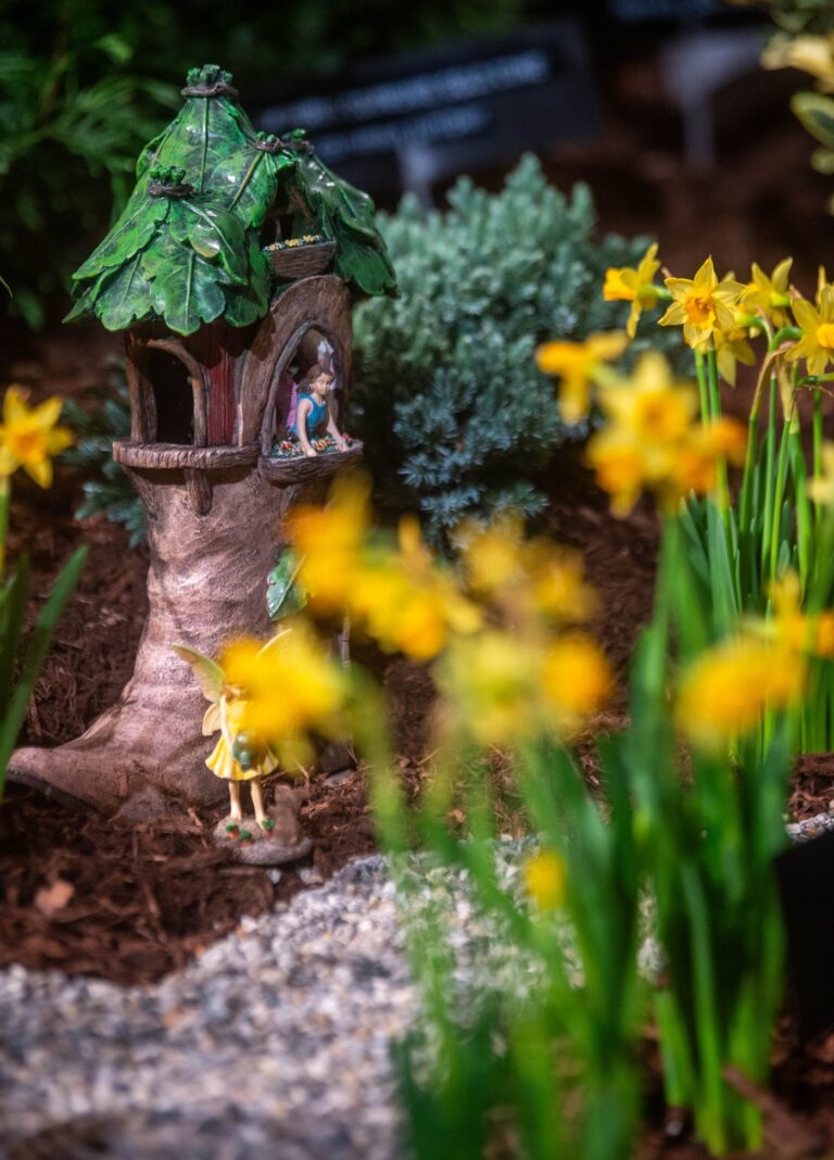 Can’t wait for spring? CT’s Flower & Garden Show arrives this weekend
