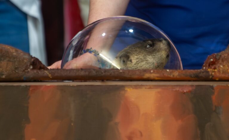 PHOTOS: Chuckles the Connecticut Groundhog makes his prediction