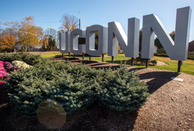 Four sheep die in UConn barn fire, university authorities investigating cause