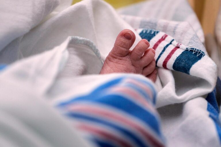 US births dropped last year, suggesting the 2024 uptick was short-lived