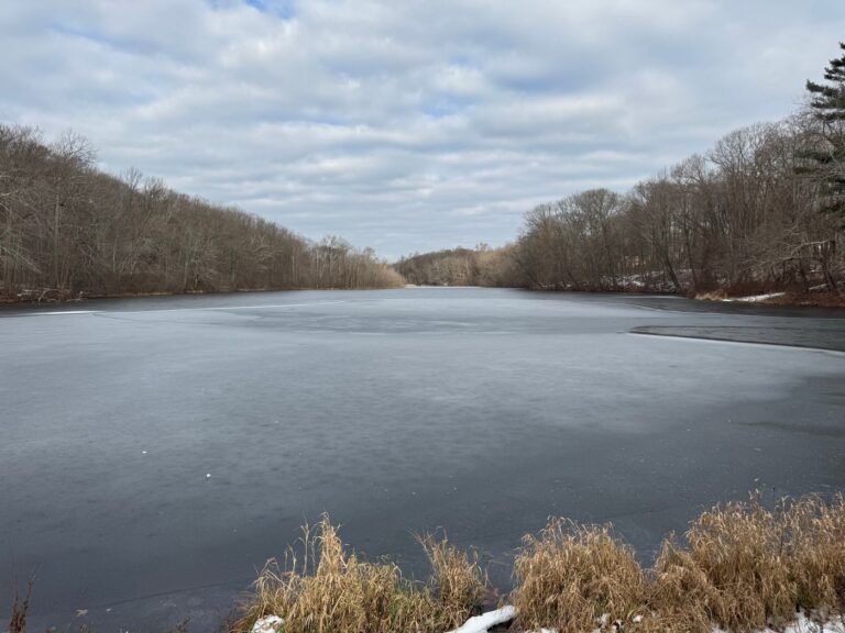Developer changes plans to excavate CT nature preserve. Advocates say new proposal still destructive