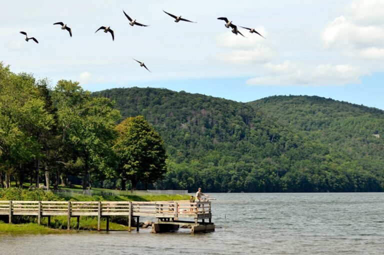 Edward Hoagland, former CT resident, lyrical chronicler of the natural world, dies at 93