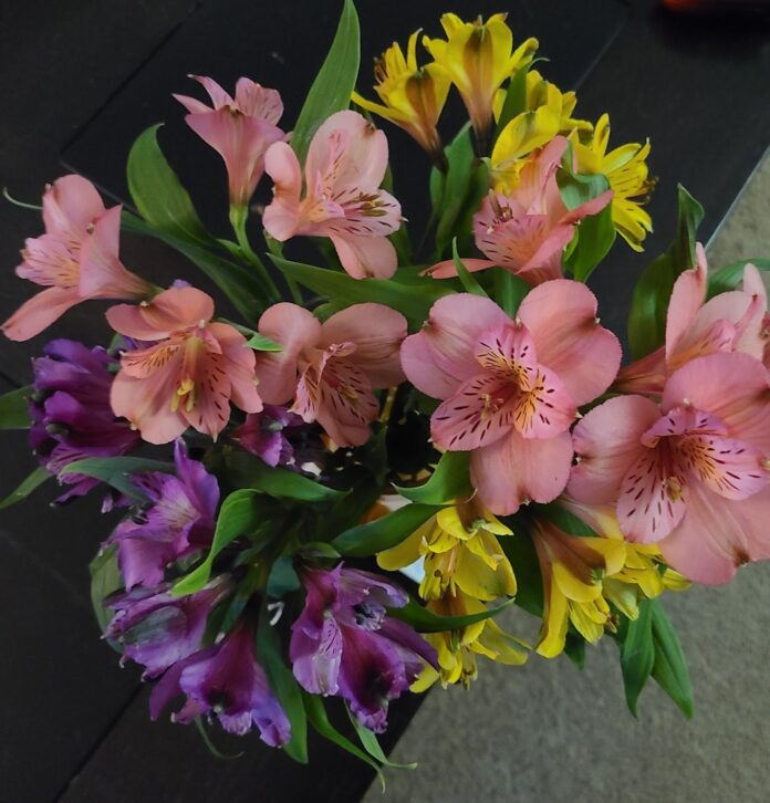 You got a bouquet of roses for Valentine’s Day. Here’s how you keep them fresh