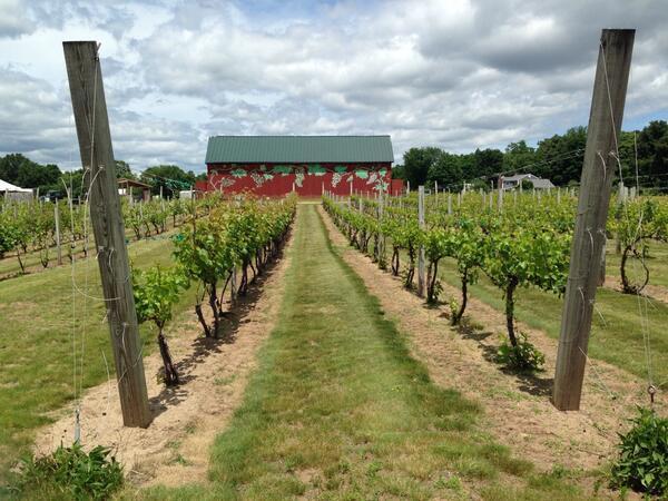 Historic CT farm and vineyard gets OK to expand. ‘Agritourism’ is key, official says