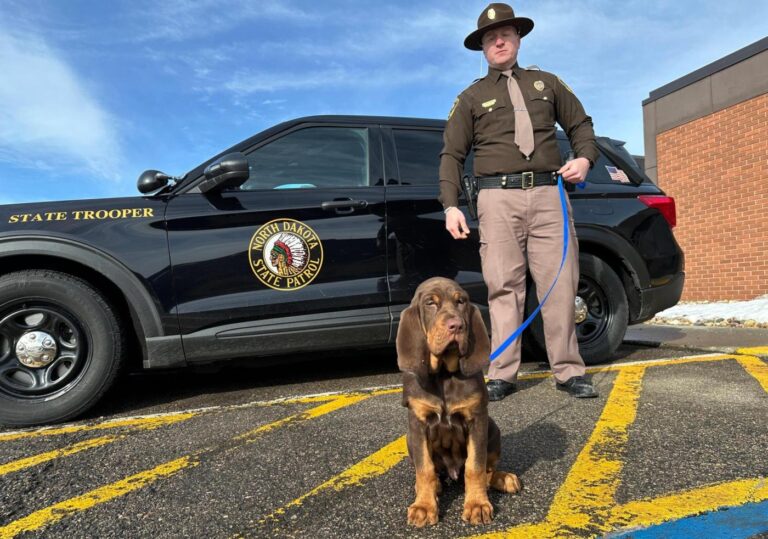 Bloodhounds in North Dakota are blazing a trail in the Midwest