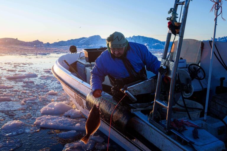 ‘It’s too warm’: Greenland’s fishermen are under threat from climate change