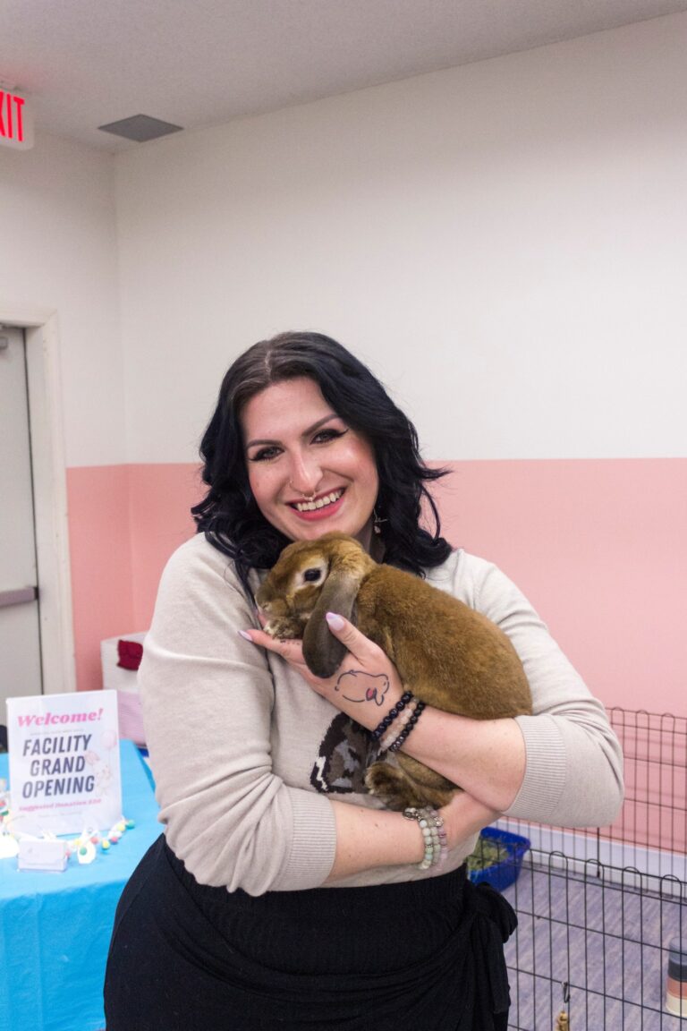 CT rabbit rescue is hopping with bunnies. That’s 300+ surrender requests this year; they need room.