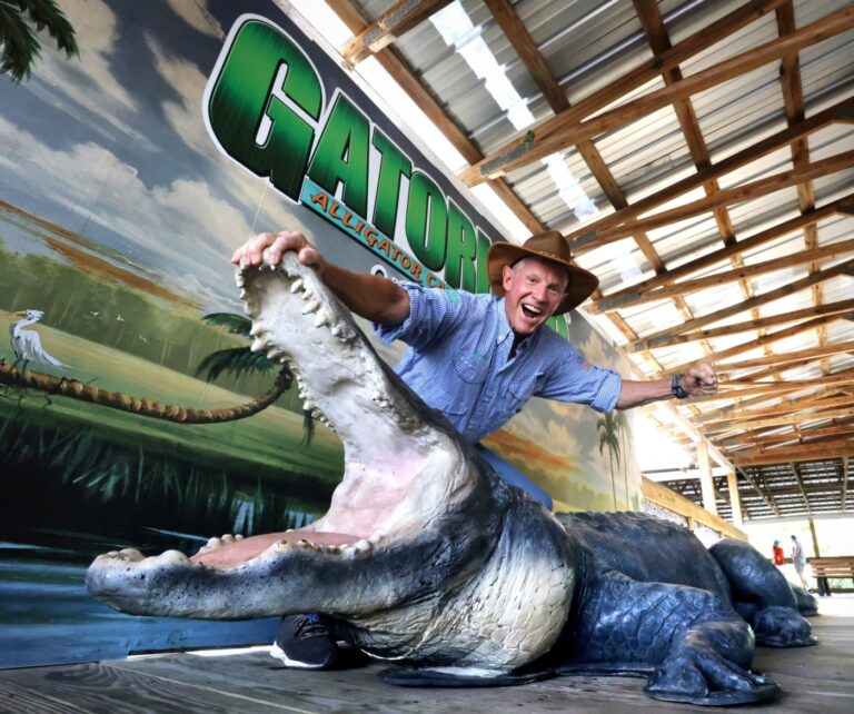 Survey: Gatorland heads list of top roadside attractions in US